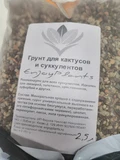 Фото покупателя к отзыву о Суккулент Фокея Эдула