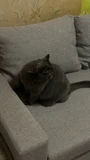 Фото из отзыва покупателя